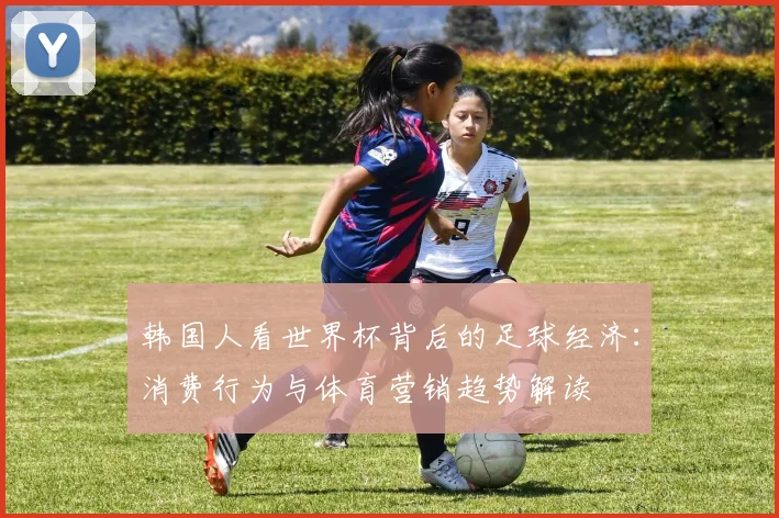 韩国人看世界杯背后的足球经济:消费行为与体育营销趋势解读