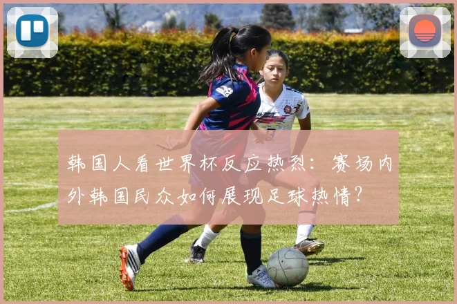 韩国人看世界杯反应热烈：赛场内外韩国民众如何展现足球热情？